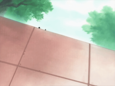 _5___cropped-15.gif